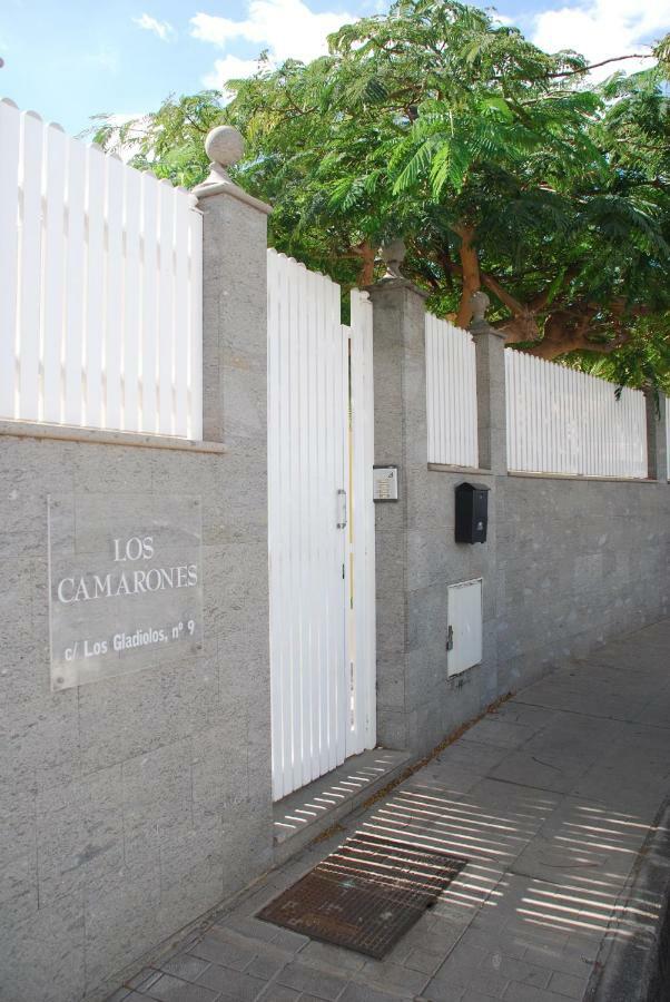 Deluxe Apartment. 50 Meters Beach San Agustín المظهر الخارجي الصورة